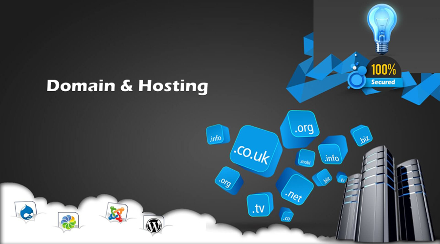 How Choosing a Domain Name and Web Hosting Impacts E-commerce